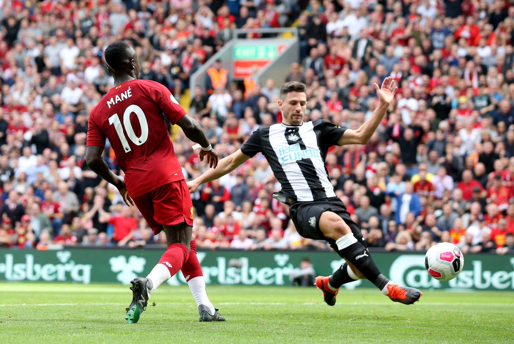 这些地区的 这些地区的